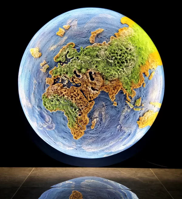 6❌️