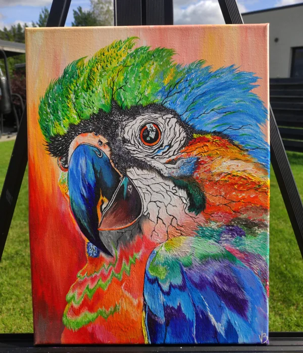 KAINA - 50€💛